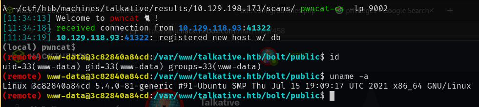 Bolt www-data